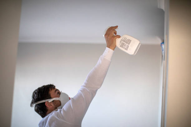 Best Fast Mold Removal  in Redby, MN