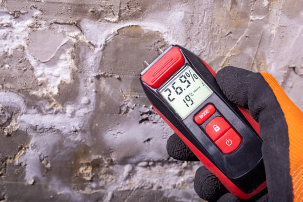 Best Commercial Mold Removal  in Redby, MN