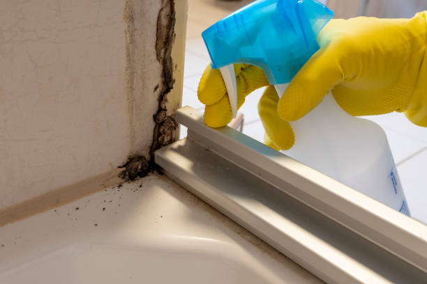 Best Mold Removal Specialists  in Redby, MN