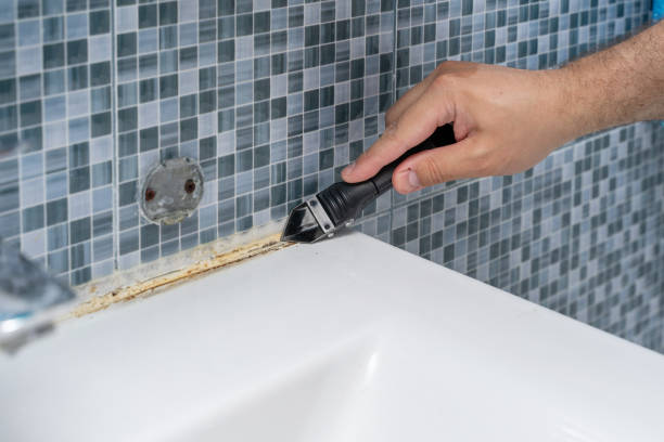 Best Mold Testing  in Redby, MN