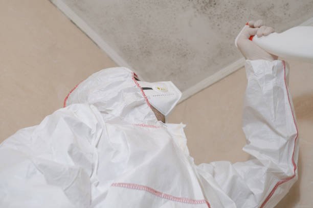 Crawl Space Mold Removal in Redby, MN