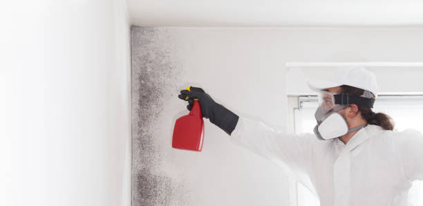 Best Mold Testing  in Redby, MN
