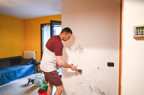 Best Local Mold Removal Service  in Redby, MN